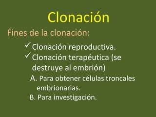 Clonación reproductiva.
Clonación terapéutica (se
destruye al embrión)
A. Para obtener células troncales
embrionarias.
B. Para investigación.
Fines de la clonación:
Clonación
 