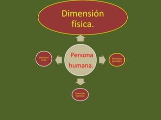 Persona
humana.
Dimensión
física.
Dimensión
psicológica
Dimensión
espiritual.
Dimensión
social.
 