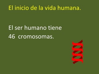 El inicio de la vida humana.
El ser humano tiene
46 cromosomas.
 