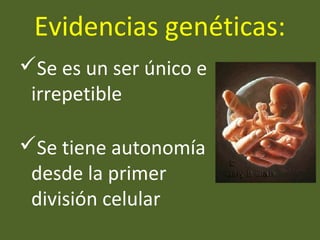 Evidencias genéticas:
Se es un ser único e
irrepetible
Se tiene autonomía
desde la primer
división celular
 