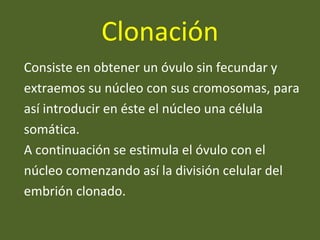 Clonación
Consiste en obtener un óvulo sin fecundar y
extraemos su núcleo con sus cromosomas, para
así introducir en éste el núcleo una célula
somática.
A continuación se estimula el óvulo con el
núcleo comenzando así la división celular del
embrión clonado.
 