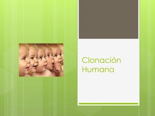 Clonación 
Humana 
 