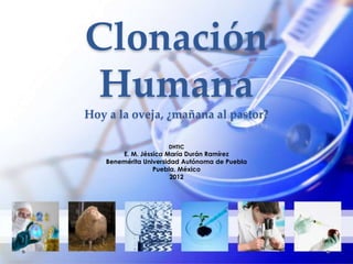 Clonación
Humana
Hoy a la oveja, ¿mañana al pastor?

                     DHTIC
       E. M. Jéssica María Durán Ramírez
   Benemérita Universidad Autónoma de Puebla
                 Puebla, México
                       2012
 