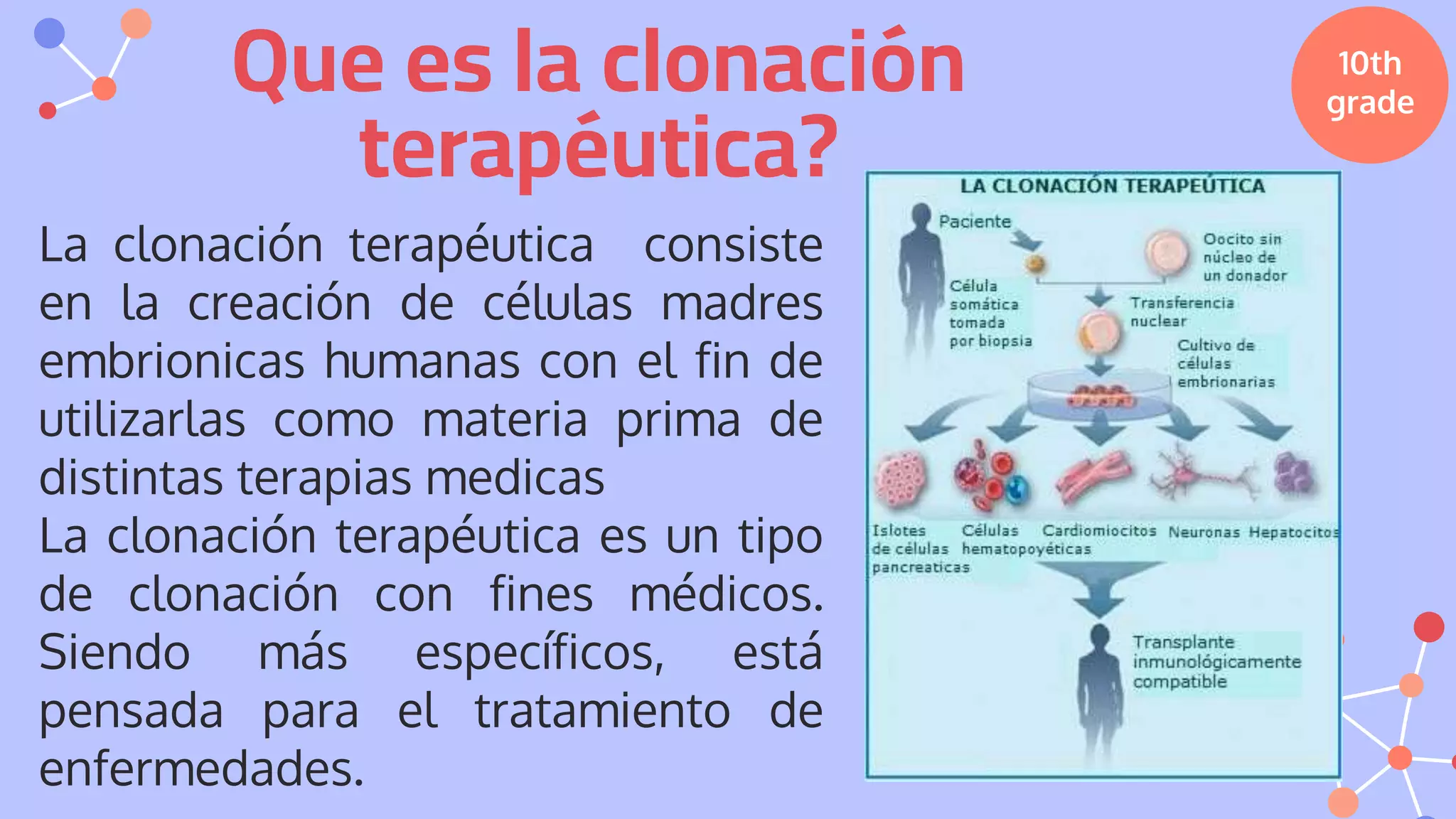 Clonación Terapeutica.pptx