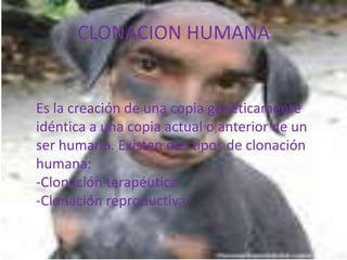 CLONACION HUMANAEs la creación de una copia genéticamente idéntica a una copia actual o anterior de un ser humano. Existen dos tipos de clonación humana:-Clonación terapéutica.-Clonación reproductiva. 
