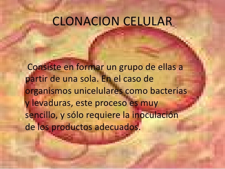 Clonacion