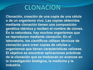CLONACION  Clonación, creación de una copia de una célula o de un organismo vivo. Las copias obtenidas mediante clonación tienen una composición genética idéntica y reciben el nombre de clones. En la naturaleza, hay muchos organismos que se reproducen mediante clonación. En el laboratorio, los científicos utilizan técnicas de clonación para crear copias de células u organismos que tienen características valiosas. El objetivo es encontrar aplicaciones prácticas de la clonación que se traduzcan en avances en la investigación biológica, la medicina y la industria. 