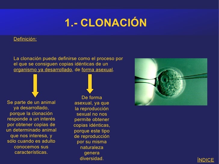 Clonacion