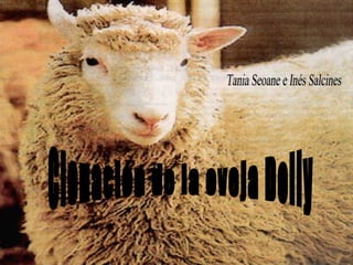 Clonación de la oveja Dolly Tania Seoane e Inés Salcines 