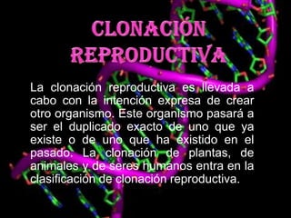 La clonación reproductiva es llevada a
cabo con la intención expresa de crear
otro organismo. Este organismo pasará a
ser el duplicado exacto de uno que ya
existe o de uno que ha existido en el
pasado. La clonación de plantas, de
animales y de seres humanos entra en la
clasificación de clonación reproductiva.
 