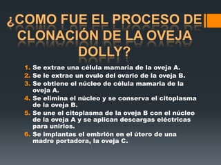 1. Se extrae una célula mamaria de la oveja A.
2. Se le extrae un ovulo del ovario de la oveja B.
3. Se obtiene el núcleo de célula mamaria de la
   oveja A.
4. Se elimina el núcleo y se conserva el citoplasma
   de la oveja B.
5. Se une el citoplasma de la oveja B con el núcleo
   de la oveja A y se aplican descargas eléctricas
   para unirlos.
6. Se implantas el embrión en el útero de una
   madre portadora, la oveja C.
 