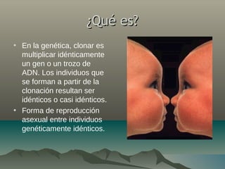 ¿Qué es?¿Qué es?
• En la genética, clonar es
multiplicar idénticamente
un gen o un trozo de
ADN. Los individuos que
se forman a partir de la
clonación resultan ser
idénticos o casi idénticos.
• Forma de reproducción
asexual entre individuos
genéticamente idénticos.
 