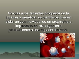 Gracias a los recientes progresos de laGracias a los recientes progresos de la
ingeniería genética, los científicos puedeningeniería genética, los científicos pueden
aislar un gen individual de un organismo eaislar un gen individual de un organismo e
implantarlo en otro organismoimplantarlo en otro organismo
perteneciente a una especie diferente.perteneciente a una especie diferente.
 