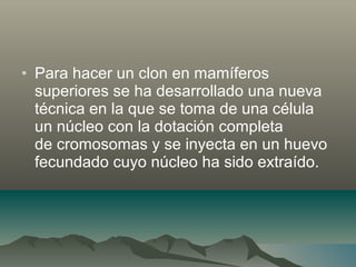 • Para hacer un clon en mamíferos
superiores se ha desarrollado una nueva
técnica en la que se toma de una célula
un núcleo con la dotación completa
de cromosomas y se inyecta en un huevo
fecundado cuyo núcleo ha sido extraído.
 