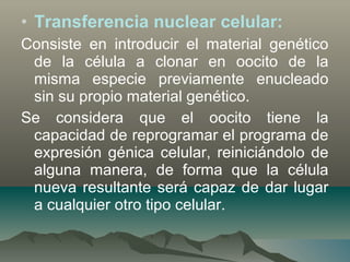 • Transferencia nuclear celular:
Consiste en introducir el material genético
de la célula a clonar en oocito de la
misma especie previamente enucleado
sin su propio material genético.
Se considera que el oocito tiene la
capacidad de reprogramar el programa de
expresión génica celular, reiniciándolo de
alguna manera, de forma que la célula
nueva resultante será capaz de dar lugar
a cualquier otro tipo celular.
 