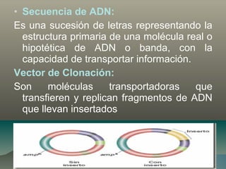• Secuencia de ADN:
Es una sucesión de letras representando la
estructura primaria de una molécula real o
hipotética de ADN o banda, con la
capacidad de transportar información.
Vector de Clonación:
Son moléculas transportadoras que
transfieren y replican fragmentos de ADN
que llevan insertados
 