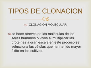 TIPOS DE CLONACION

 CLONACION MOLECULAR

se hace atreves de las moléculas de los
seres humanos o vivos al multiplicar las
proteínas a gran escala en este proceso se
selecciona las células que han tenido mayor
éxito en los cultivos.

 