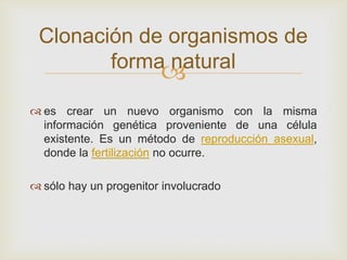 Clonación de organismos de
forma natural



 es crear un nuevo organismo con la misma
información genética proveniente de una célula
existente. Es un método de reproducción asexual,
donde la fertilización no ocurre.
 sólo hay un progenitor involucrado

 