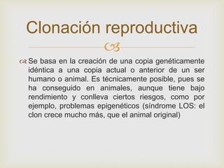 Clonación reproductiva

 Se basa en la creación de una copia genéticamente
idéntica a una copia actual o anterior de un ser
humano o animal. Es técnicamente posible, pues se
ha conseguido en animales, aunque tiene bajo
rendimiento y conlleva ciertos riesgos, como por
ejemplo, problemas epigenéticos (síndrome LOS: el
clon crece mucho más, que el animal original)

 