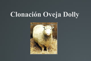 Clonación Oveja Dolly
 