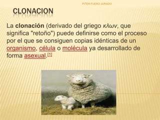 PITER FUERO JURADO


  CLONACION
La clonación (derivado del griego κλων, que
significa "retoño") puede definirse como el proceso
por el que se consiguen copias idénticas de un
organismo, célula o molécula ya desarrollado de
forma asexual.[1]
 