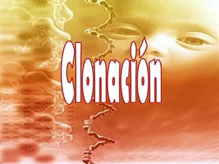 Clonación 