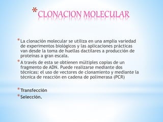 *CLONACION MOLECULAR
*La clonación molecular se utiliza en una amplia variedad
de experimentos biológicos y las aplicaciones prácticas
van desde la toma de huellas dactilares a producción de
proteínas a gran escala.
*A través de esta se obtienen múltiples copias de un
fragmento de ADN. Puede realizarse mediante dos
técnicas: el uso de vectores de clonamiento y mediante la
técnica de reacción en cadena de polimerasa (PCR)
*Transfección
*Selección.
 