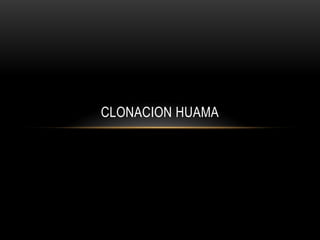 CLONACION HUAMA

 