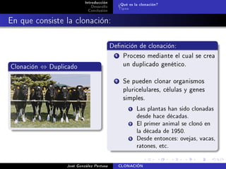 Clonación