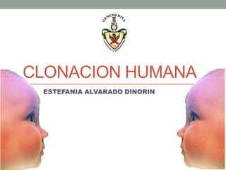 CLONACION HUMANA
 ESTEFANIA ALVARADO DINORIN
 