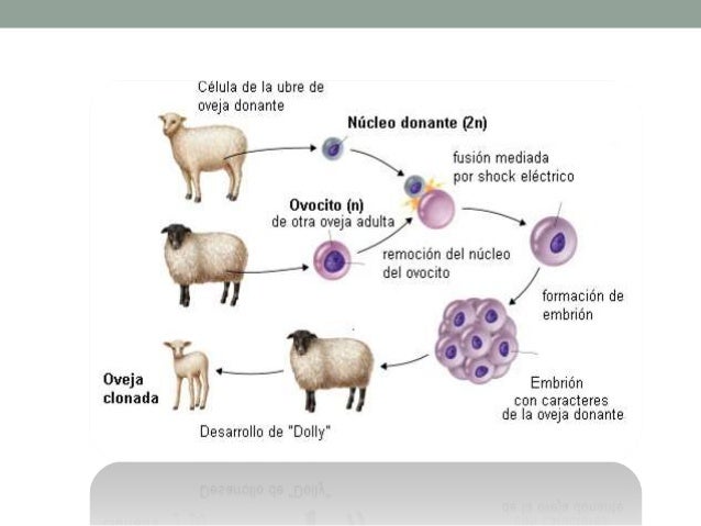 Imagen relacionada
