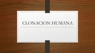CLONACION HUMANA
 
