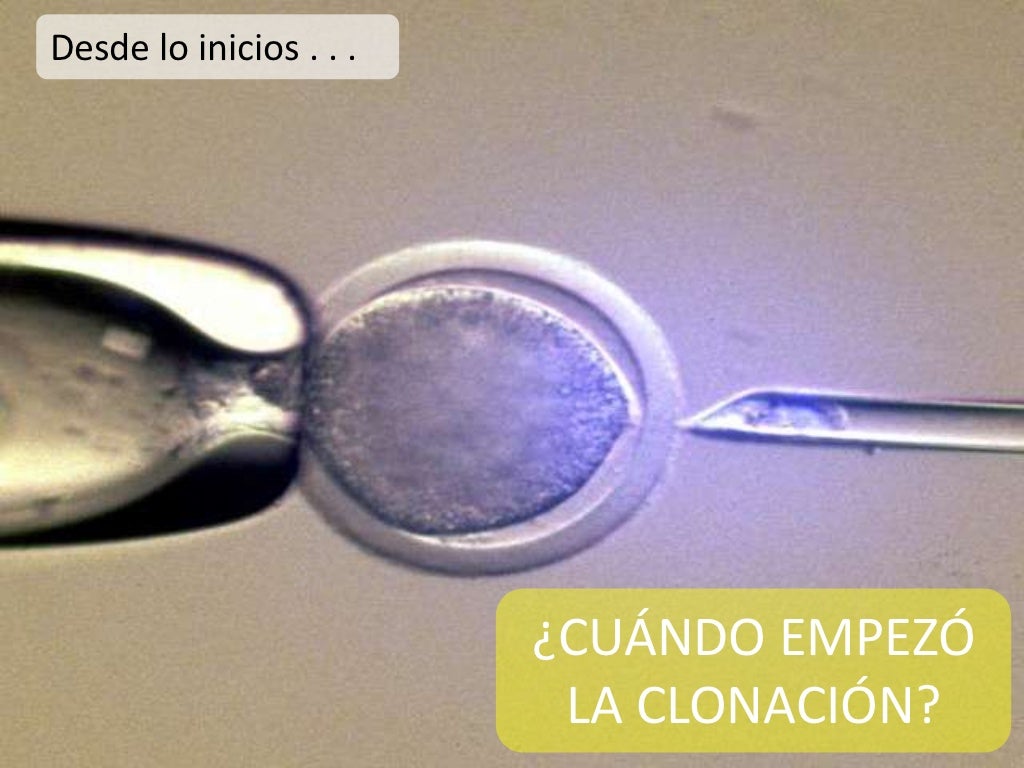 Clonacion ventajas y desventajas