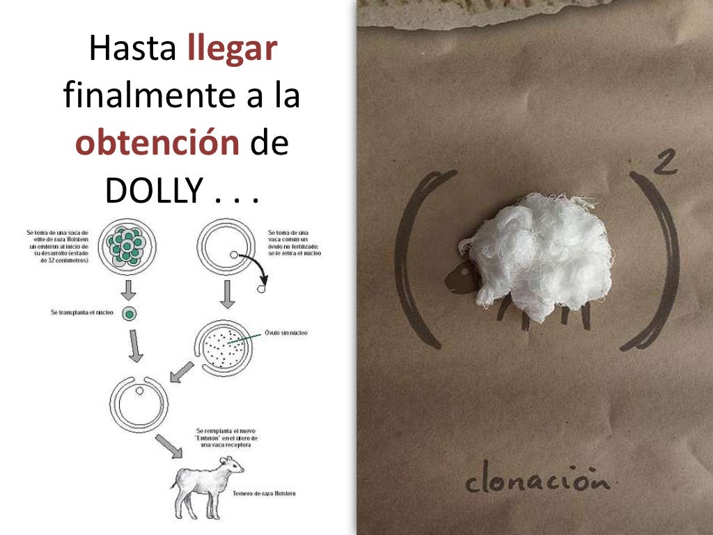 Clonacion ventajas y desventajas