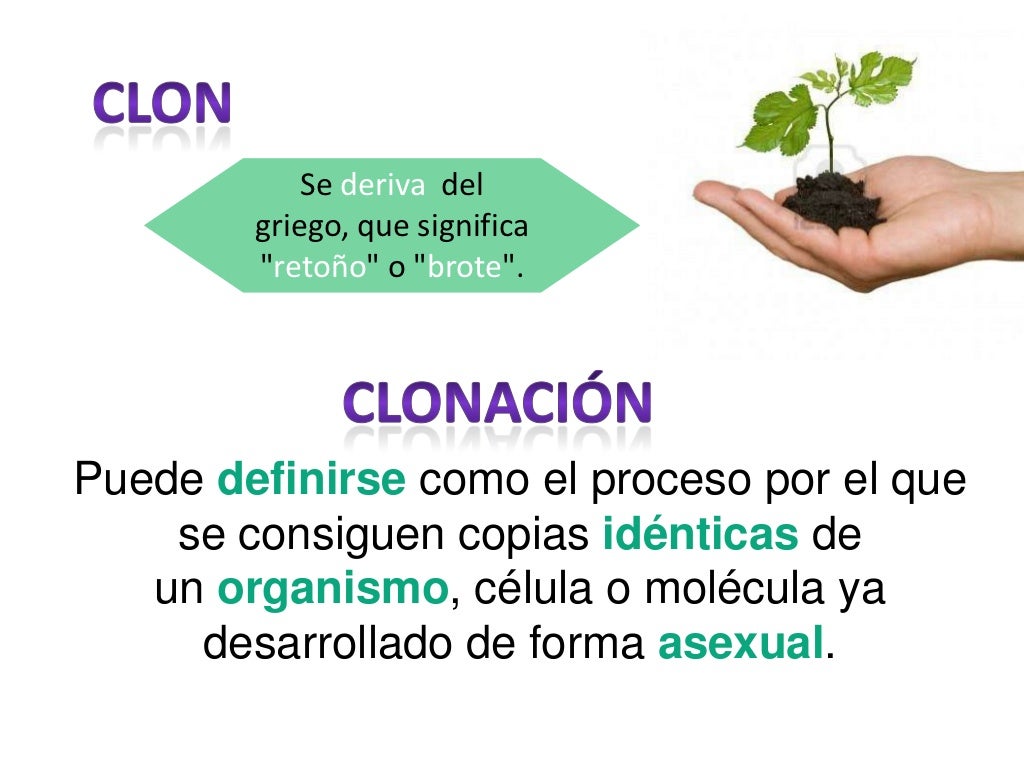 Clonacion ventajas y desventajas