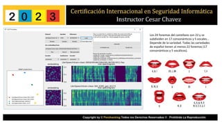 Los 24 fonemas del castellano son 22 y se
subdividen en 17 consonánticos y 5 vocales…
Depende de la variedad. Todas las variedades
de español tienen al menos 22 fonemas (17
consonánticos y 5 vocálicos).
 