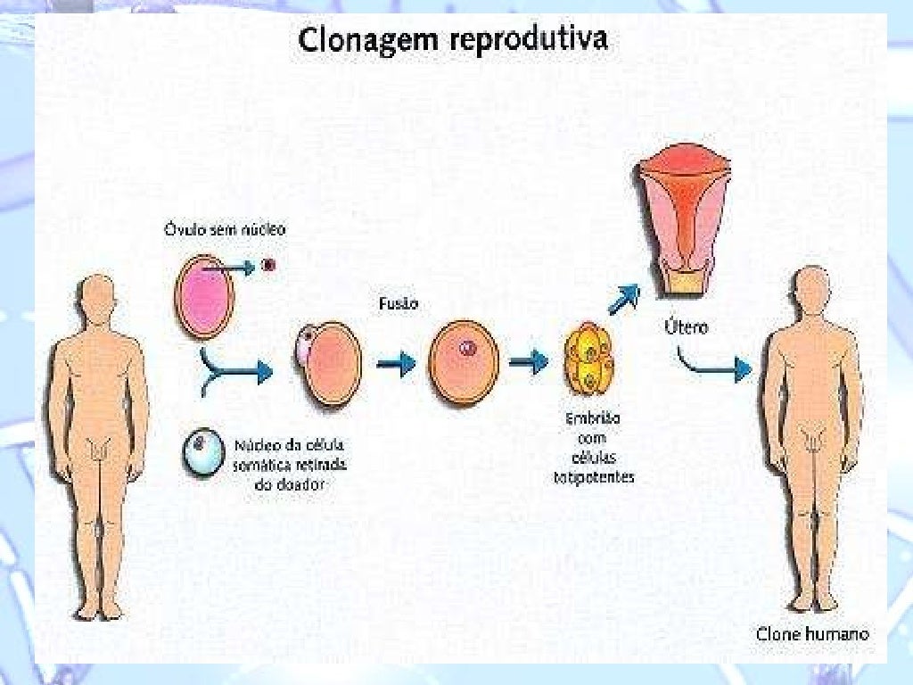 Mapa Mental Sobre Clonagem - BRAINCP
