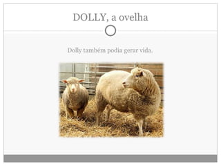 DOLLY, a ovelha Dolly também podia gerar vida. 