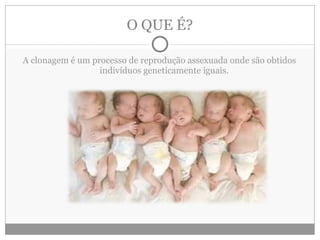 O QUE É? A clonagem é um processo de reprodução assexuada onde são obtidos indivíduos geneticamente iguais. 