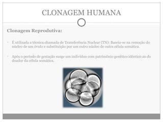CLONAGEM HUMANA Clonagem Reprodutiva: É utilizada a técnica chamada de Transferência Nuclear (TN): Baseia-se na remoção do núcleo de um óvulo e substituição por um outro núcleo de outra célula somática. Após o período de gestação surge um indivíduo com patrimônio genético idêntico ao do doador da célula somática. 