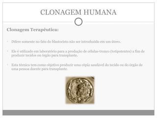 CLONAGEM HUMANA Clonagem Terapêutica: Difere somente no fato do blastocisto não ser introduzido em um útero. Ele é utilizado em laboratório para a produção de células-tronco (totipotentes) a fim de produzir tecidos ou órgão para transplante. Esta técnica tem como objetivo produzir uma cópia saudável do tecido ou do órgão de uma pessoa doente para transplante. 