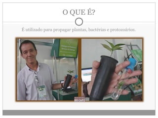 O QUE É? É utilizado para propagar plantas, bactérias e protozoários. 