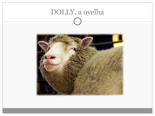 DOLLY, a ovelha 