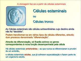 Células estaminais ou Células tronco As Células estaminais são células extraordinárias cujo destino ainda não foi “decidido”. Podem transformar-se em vários tipos de células diferentes, através dum processo denominado “diferenciação”.  Há células estaminais  embrionárias  – as que nunca se diferenciaram e provêm de um embrião, e células estaminais  adultas , que já sofreram especialização e fazem parte de um organismo adulto. A clonagem faz-se a partir de células estaminais Através da diferenciação, só ficarão activos os genes correspondentes à nova função desempenhada pela célula 