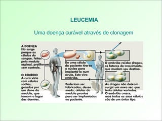 LEUCEMIA Uma doença curável através de clonagem 