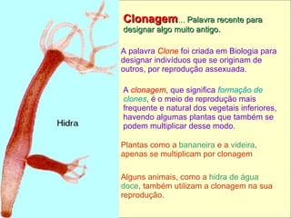 Clonagem …  Palavra recente para designar algo muito antigo. A palavra   Clone  foi criada em Biologia para designar indivíduos que se originam de outros, por reprodução assexuada. A  clonagem , que significa  formação de clones , é o meio de reprodução mais frequente e natural dos vegetais inferiores, havendo algumas plantas que também se podem multiplicar desse modo. Plantas como a  bananeira  e a  videira , apenas se multiplicam por clonagem Alguns animais, como a  hidra de água doce , também utilizam a clonagem na sua reprodução. 