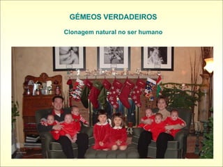GÉMEOS VERDADEIROS Clonagem natural no ser humano 