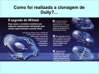 Como foi realizada a clonagem de Dolly?... 