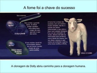 A fome foi a chave do sucesso A clonagem de Dolly abriu caminho para a clonagem humana. 