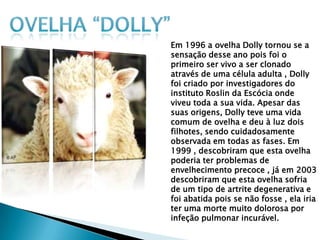 Em 1996 a ovelha Dolly tornou se a
sensação desse ano pois foi o
primeiro ser vivo a ser clonado
através de uma célula adulta , Dolly
foi criado por investigadores do
instituto Roslin da Escócia onde
viveu toda a sua vida. Apesar das
suas origens, Dolly teve uma vida
comum de ovelha e deu à luz dois
filhotes, sendo cuidadosamente
observada em todas as fases. Em
1999 , descobriram que esta ovelha
poderia ter problemas de
envelhecimento precoce , já em 2003
descobriram que esta ovelha sofria
de um tipo de artrite degenerativa e
foi abatida pois se não fosse , ela iria
ter uma morte muito dolorosa por
infeção pulmonar incurável.
 